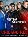 Полиция Чикаго онлайн бесплатно HD Rezka
