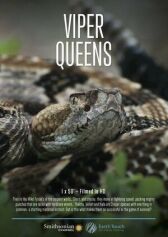 Королевы гадюк онлайн бесплатно HD Rezka