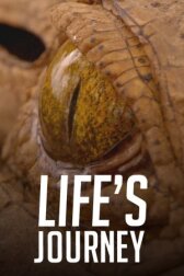 Life's Journey онлайн бесплатно HD Rezka