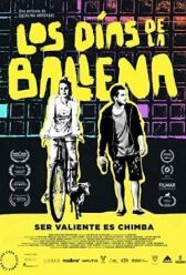 Дни кита онлайн бесплатно HD Rezka