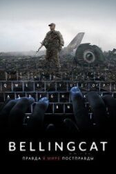 Bellingcat: Правда в мире постправды онлайн бесплатно HD Rezka