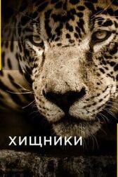 Хищники онлайн бесплатно HD Rezka