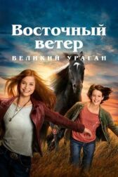 Восточный ветер. Великий ураган онлайн бесплатно HD Rezka