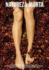 Натюрморт онлайн бесплатно HD Rezka