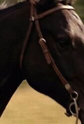 Дневник Хлои онлайн бесплатно HD Rezka