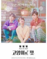 Кошачий бар онлайн бесплатно HD Rezka