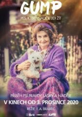 Гамп — пёс, который научил людей жить онлайн бесплатно HD Rezka