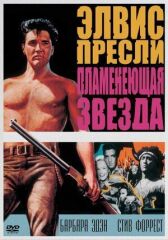 Пламенеющая звезда онлайн бесплатно HD Rezka