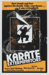 Молния кунг-фу онлайн бесплатно HD Rezka