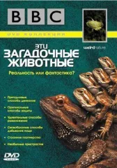 BBC: Эти загадочные животные онлайн бесплатно HD Rezka