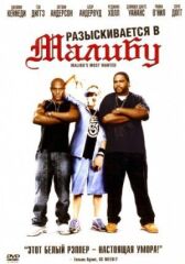 Разыскиваются в Малибу онлайн бесплатно HD Rezka