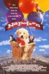 Наполеон онлайн бесплатно HD Rezka