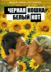 Черная кошка, белый кот онлайн бесплатно HD Rezka