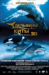 Дельфины и киты 3D онлайн бесплатно HD Rezka