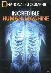 Невероятное тело человека онлайн бесплатно HD Rezka