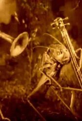 Веселые сценки из жизни животных онлайн бесплатно HD Rezka