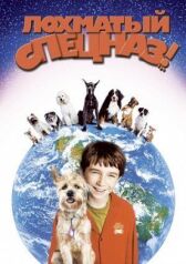 Лохматый спецназ онлайн бесплатно HD Rezka