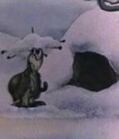 Про черепаху онлайн бесплатно HD Rezka