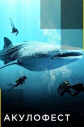 Акулофест онлайн бесплатно HD Rezka