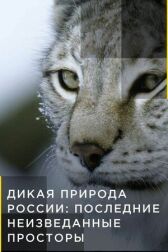 Дикая природа России: Последние неизведанные просторы онлайн бесплатно HD Rezka