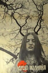 Древо желания онлайн бесплатно HD Rezka