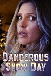 Опасный зимний день онлайн бесплатно HD Rezka