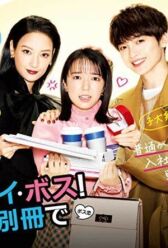 О, мой босс! Любовь — это бонусная книга онлайн бесплатно HD Rezka