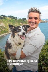 Приключение Донала в Ирландии онлайн бесплатно HD Rezka