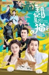 Принцесса-кошка онлайн бесплатно HD Rezka