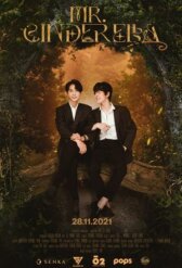 Мистер Золушка онлайн бесплатно HD Rezka