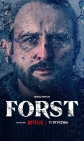 Детектив Форст онлайн бесплатно HD Rezka