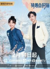 Кошка и рыба онлайн бесплатно HD Rezka