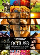 Заколдованное королевство 3D онлайн бесплатно HD Rezka