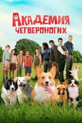 Академия четвероногих онлайн бесплатно HD Rezka