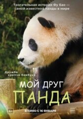 Мой друг панда онлайн бесплатно HD Rezka