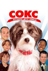 Сокс. Лучший друг семьи онлайн бесплатно HD Rezka