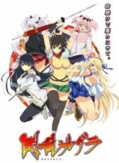 Ниндзя-бунтарки онлайн бесплатно HD Rezka