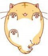 Кот по имени Пойо онлайн бесплатно HD Rezka