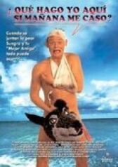 Особенности холостяцкой вечеринки онлайн бесплатно HD Rezka