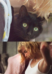 Violent Florence онлайн бесплатно HD Rezka