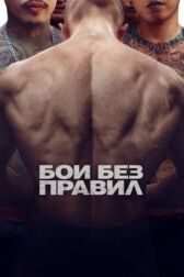 Бои без правил онлайн бесплатно HD Rezka