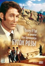 Постер к Бутон розы смотреть онлайн на HD Rezka