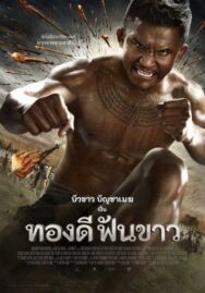 Постер к Легенда о герое со сломанным мечом смотреть онлайн на HD Rezka