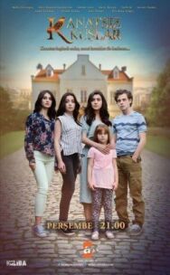 Постер к Птицы без крыльев смотреть онлайн на HD Rezka