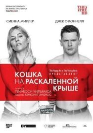 Постер к Кошка на раскалённой крыше смотреть онлайн на HD Rezka