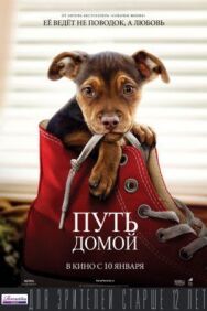 Постер к Путь домой смотреть онлайн на HD Rezka