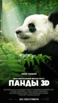 Постер к Панды 3D смотреть онлайн на HD Rezka