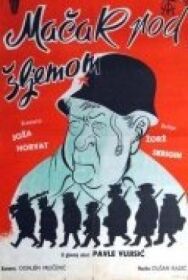 Постер к Кот под шлемом смотреть онлайн на HD Rezka