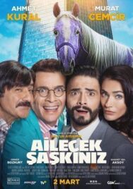 Постер к Безумная семейка смотреть онлайн на HD Rezka