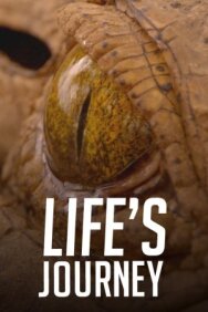 Постер к Life's Journey смотреть онлайн на HD Rezka